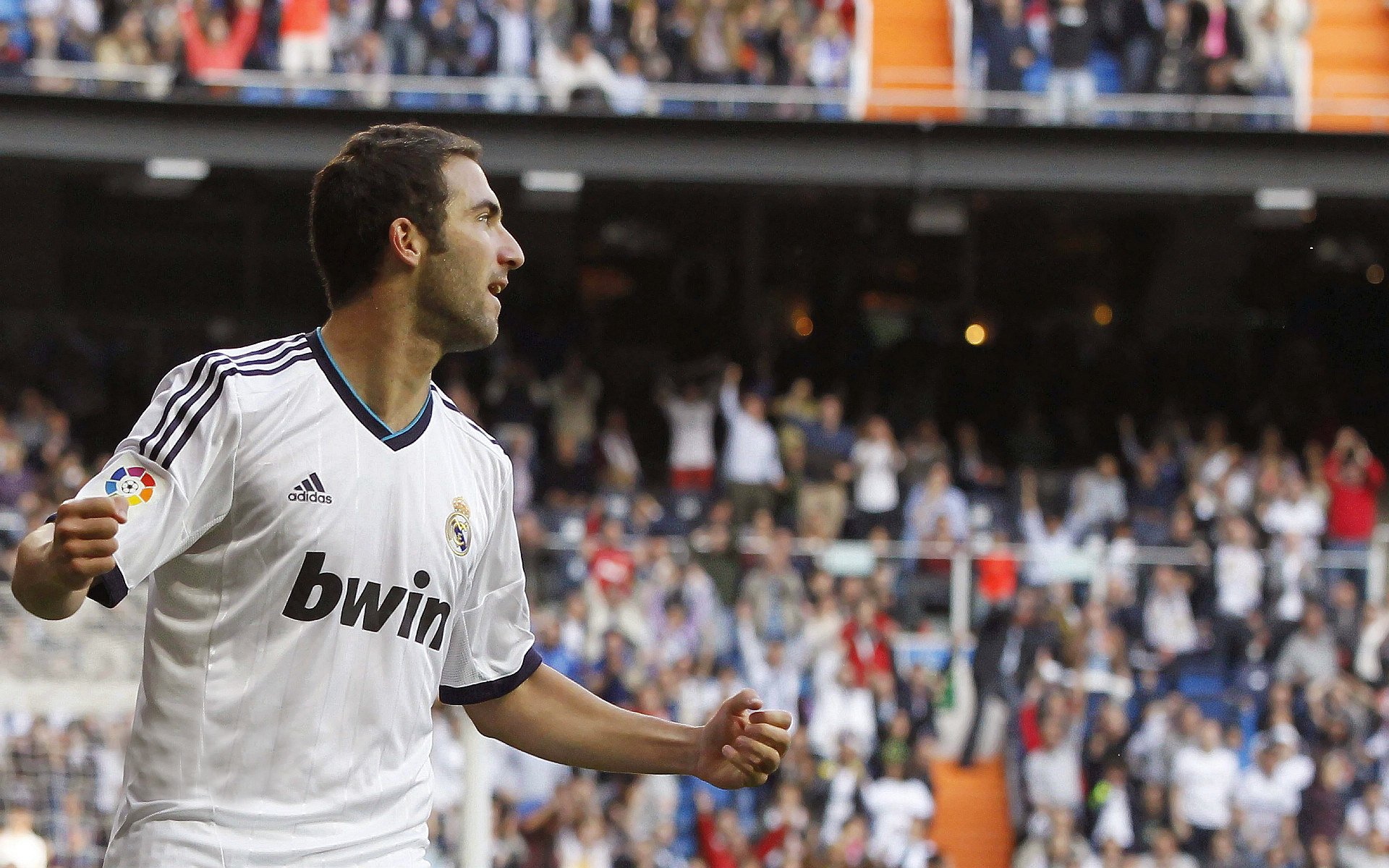 德国泳坛注目新星施瓦茨崭露头角，德国施瓦布简介