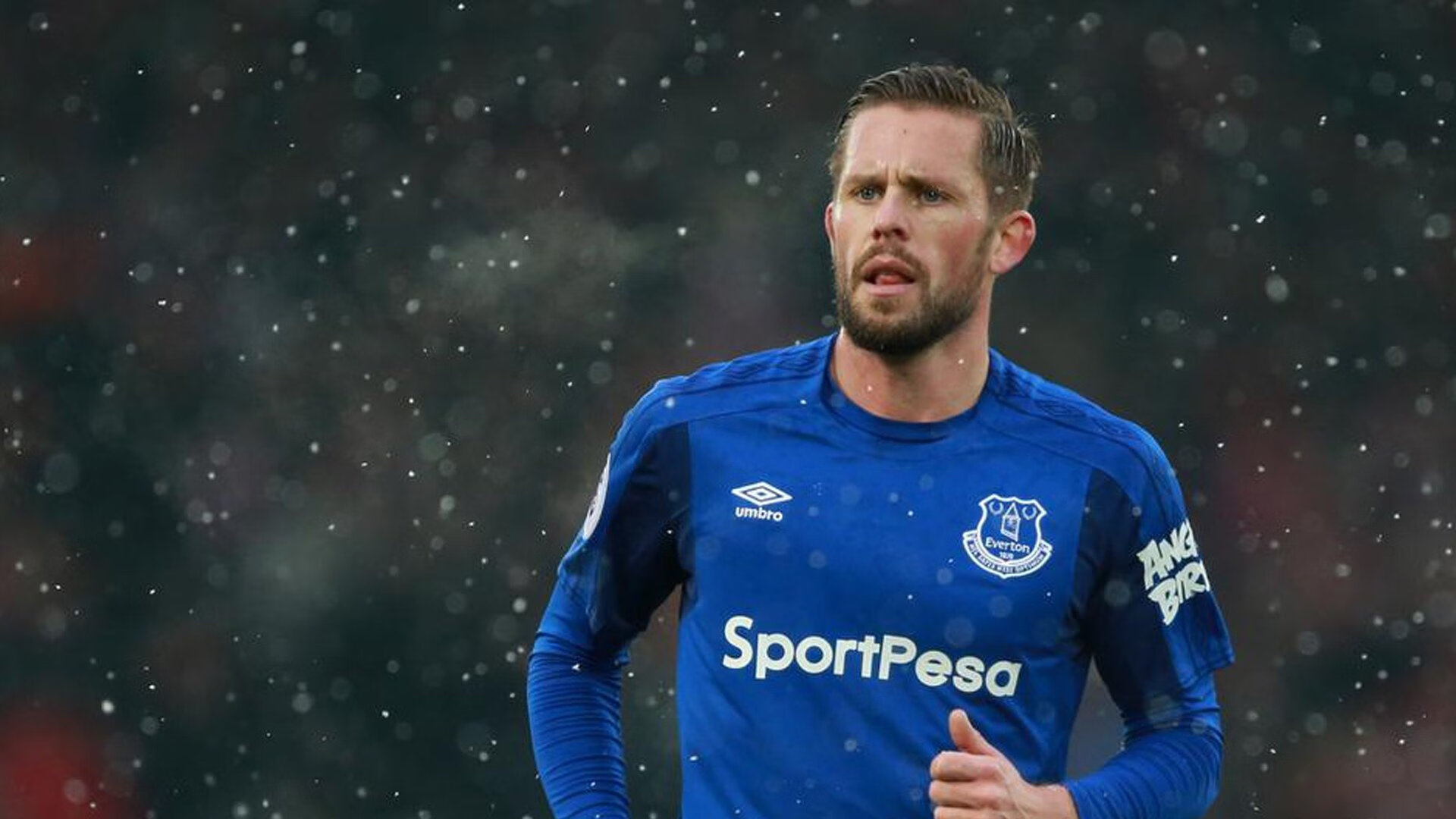 AYX SPORTS-塔特帮助袋鼠队在橄榄球锦标赛上连续取胜，势不可挡